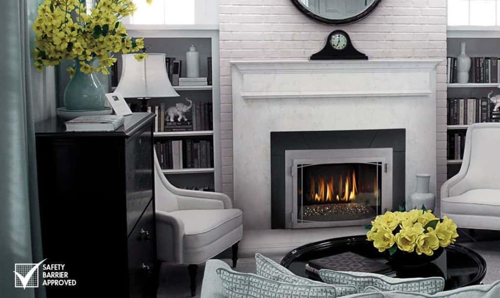 Napoleon-Infrared-3G-Gas-Insert